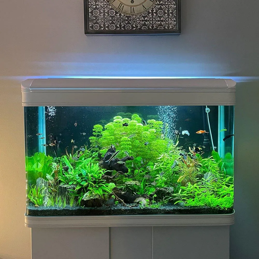 250L Cabinet Fish Tank (107cm 3.6ft) 2 Colours