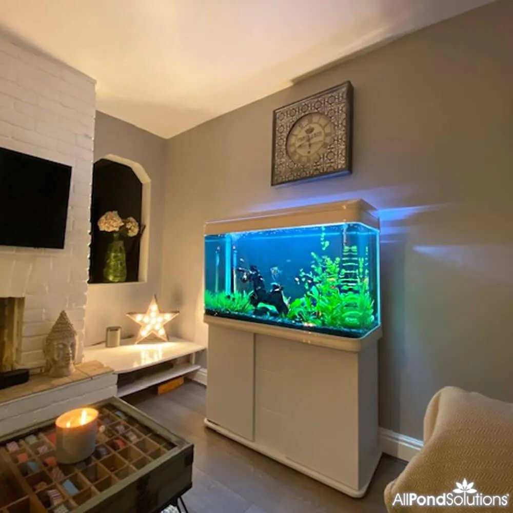 250L Cabinet Fish Tank (107cm 3.6ft) 2 Colours