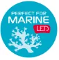 LEDDY SLIM MARINE