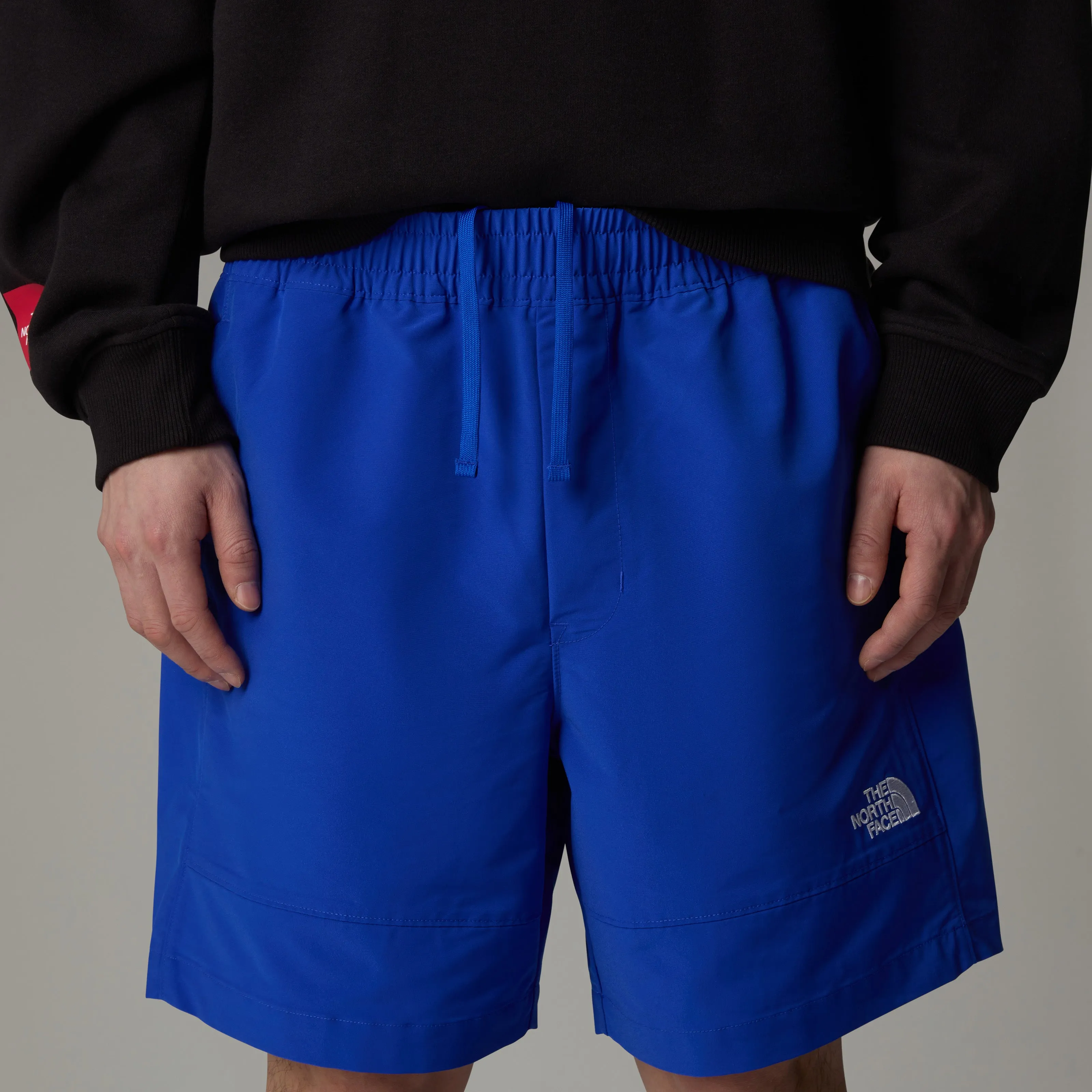 MEN'S TNF EASY WIND SHORTS