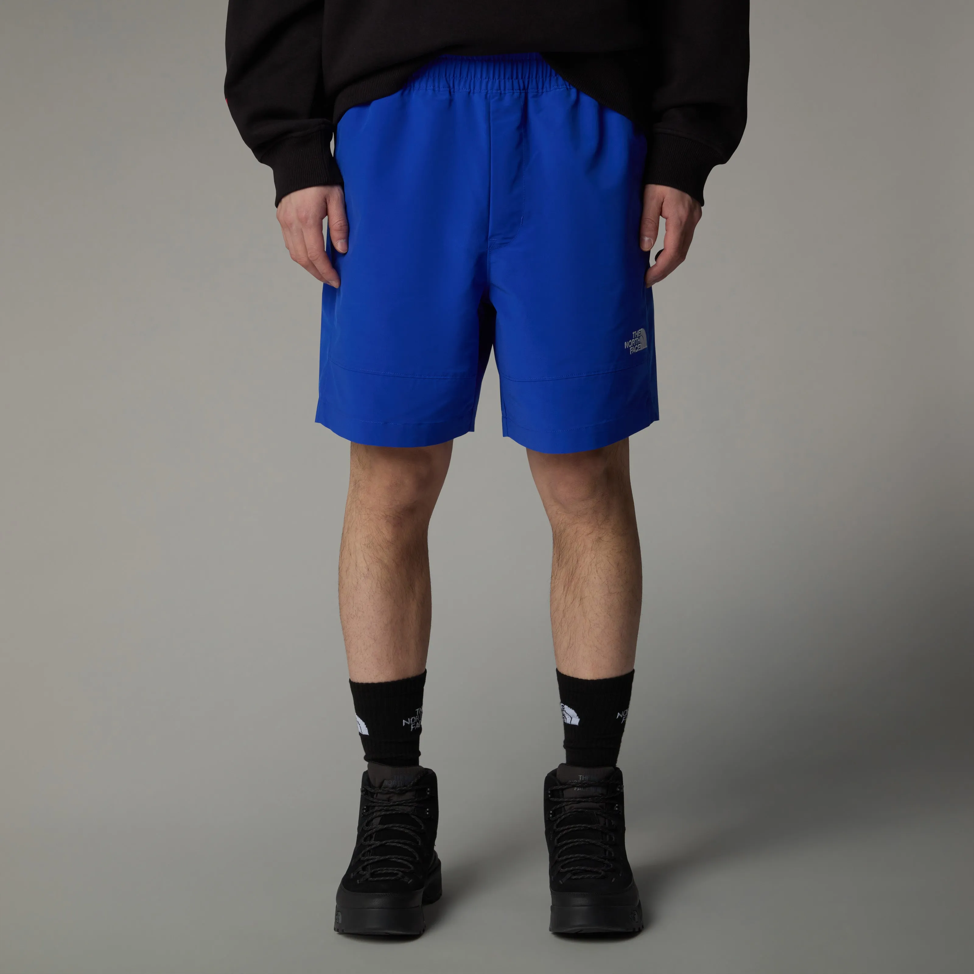 MEN'S TNF EASY WIND SHORTS